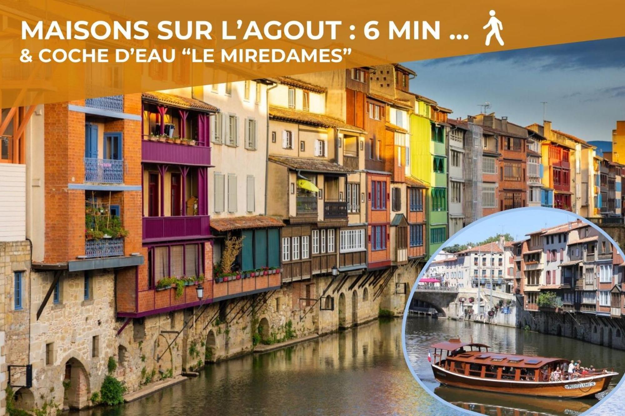 L'Eveche - T3 Spacieux & Traversant En Hypercentre กัสทร์ ภายนอก รูปภาพ